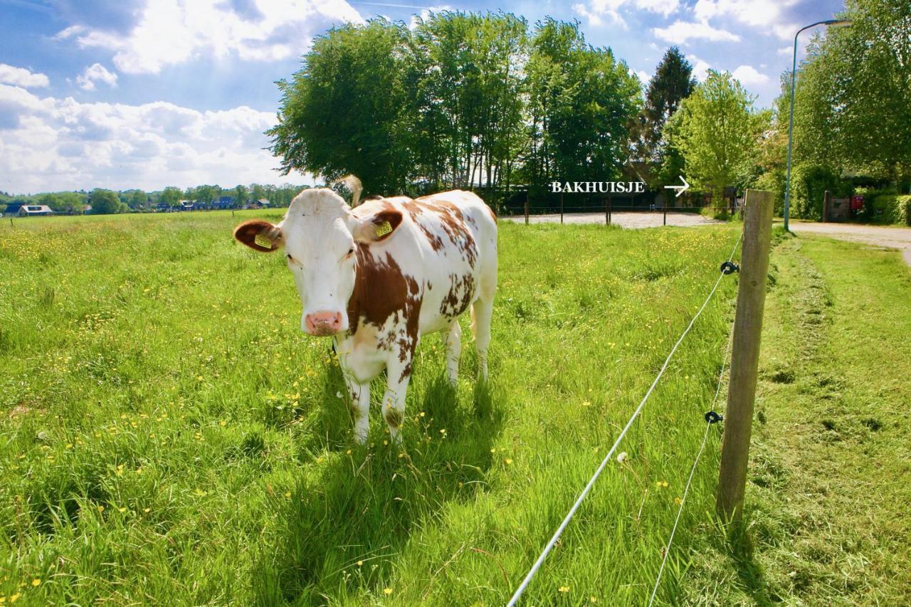 Bakhuisje Op De Veluwe Heerde Εξωτερικό φωτογραφία
