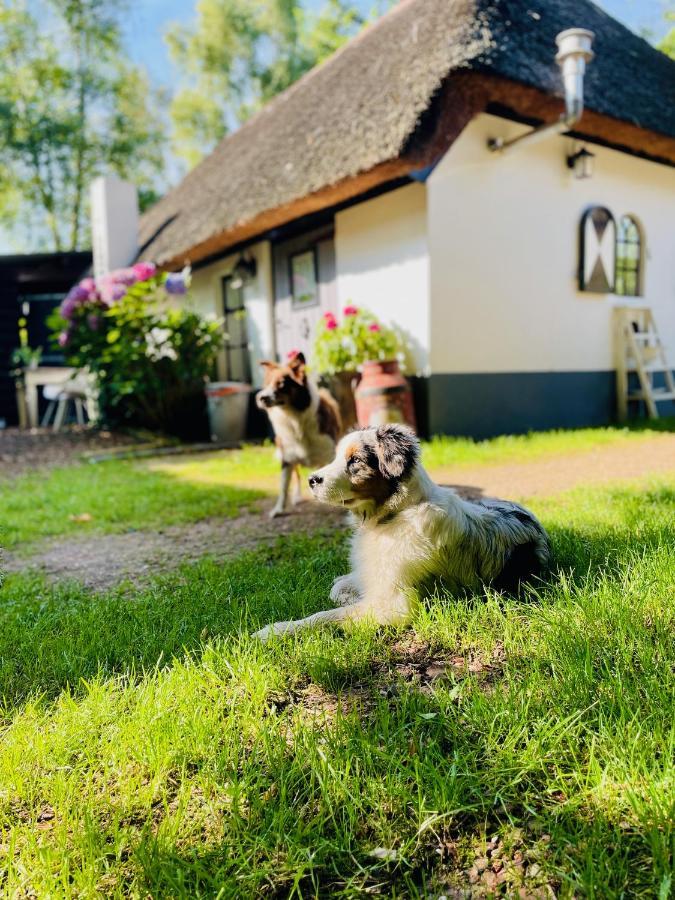 Bakhuisje Op De Veluwe Heerde Εξωτερικό φωτογραφία