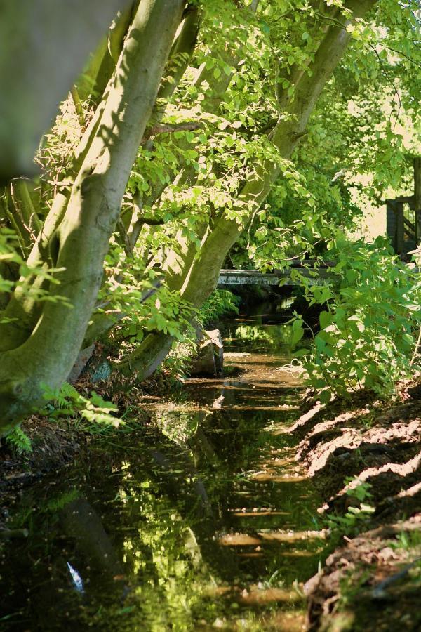 Bakhuisje Op De Veluwe Heerde Εξωτερικό φωτογραφία